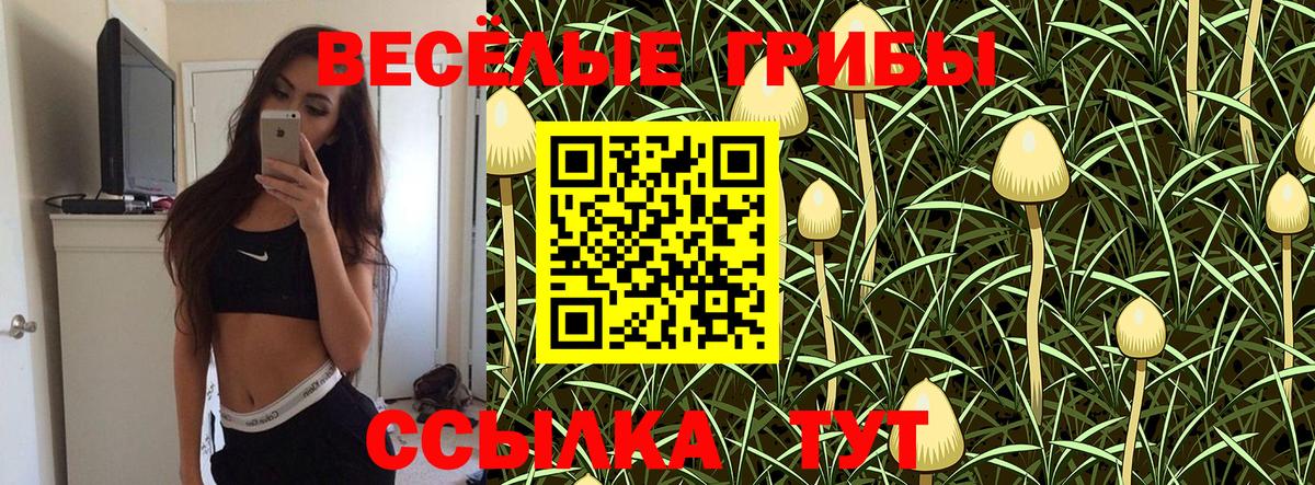 Псилоцибиновые грибы Psilocybine cubensis Наро-Фоминск